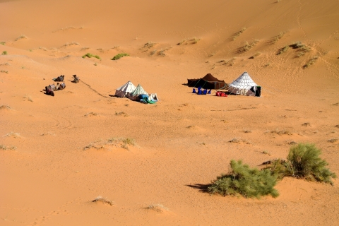 Campement dans le désert de Chebbi
