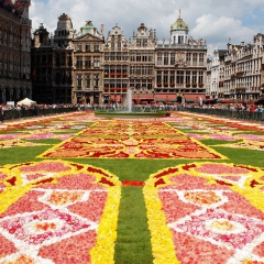 Le Tapis de fleurs de Bruxelles par EmDee via Wikimedia Commons