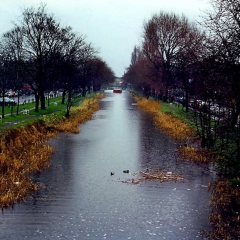 Le Grand_Canal Dublin par Joseph Mischyshyn via Wikimedia Commons