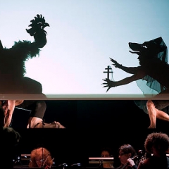 Le Rossignol et autres fables au Festival d'art lyrique 2010 par Philippe Beau, le metteur en ombres du spectacle