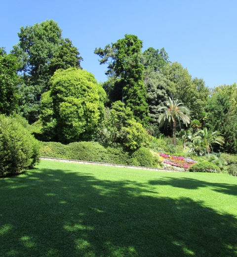 Jardin botanique Villa Carlotta